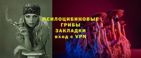 амф Алзамай