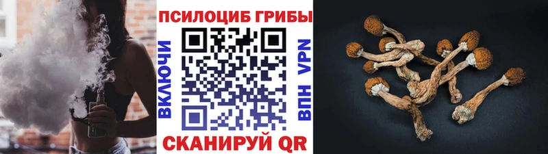 kraken как зайти  Рубцовск  Галлюциногенные грибы мицелий 