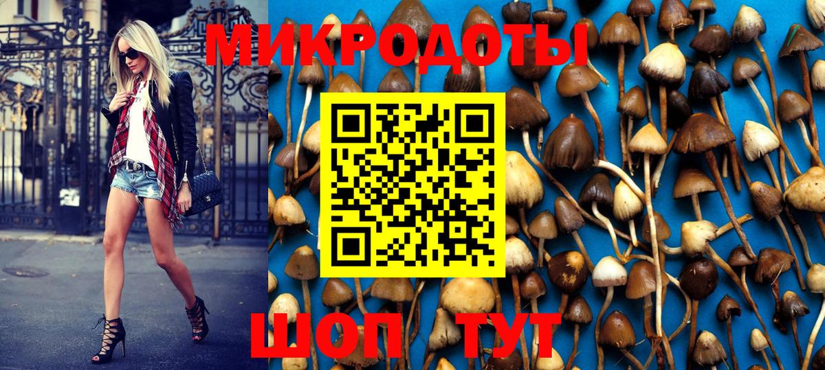Рубцовск  Псилоцибиновые грибы MAGIC MUSHROOMS  Вход с VPN  Псилоцибиновые грибы мицелий 